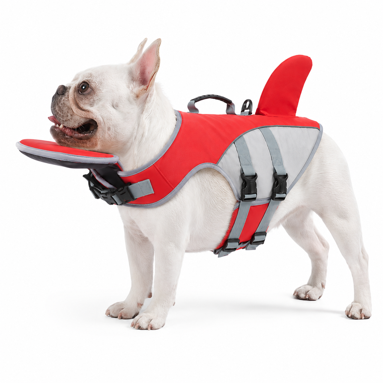 BERGSTIL PawFloat Hundeschwimmweste