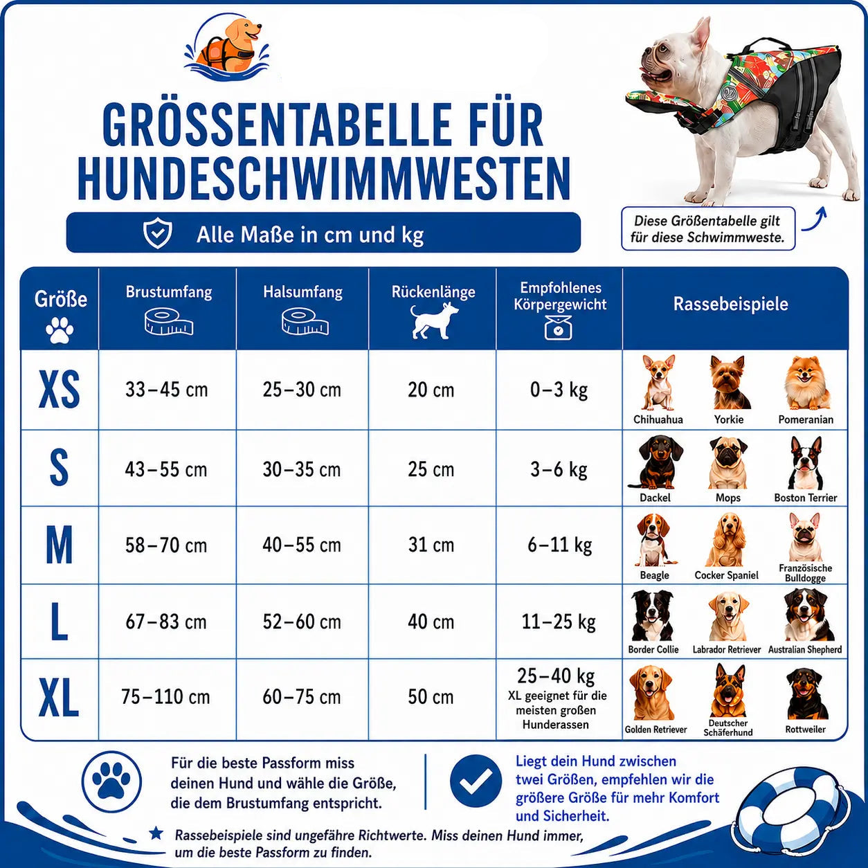 BERGSTIL PawFloat Hundeschwimmweste