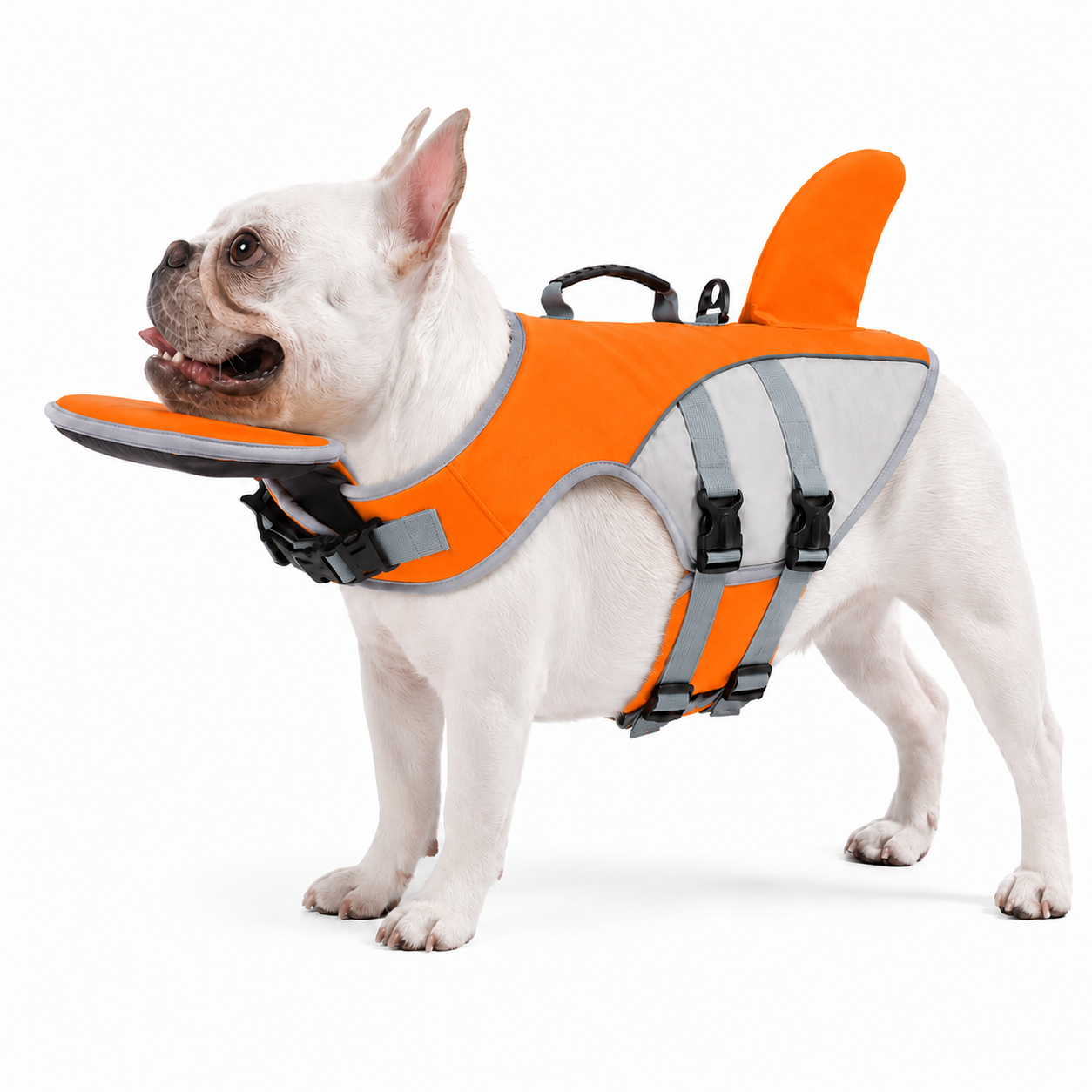 BERGSTIL PawFloat Hundeschwimmweste
